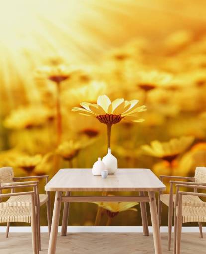 Golden Daisy Wallpaper Golden Daisy Wallpaper