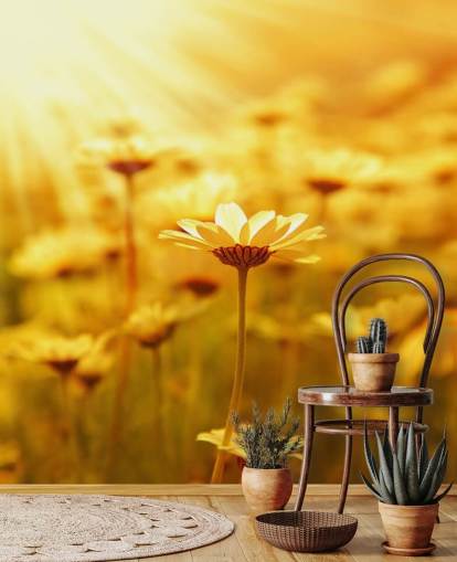 Golden Daisy Bakgrund