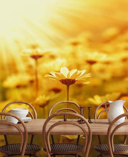 Golden Daisy Baggrund