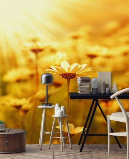 Golden Daisy Baggrund Golden Daisy Baggrund