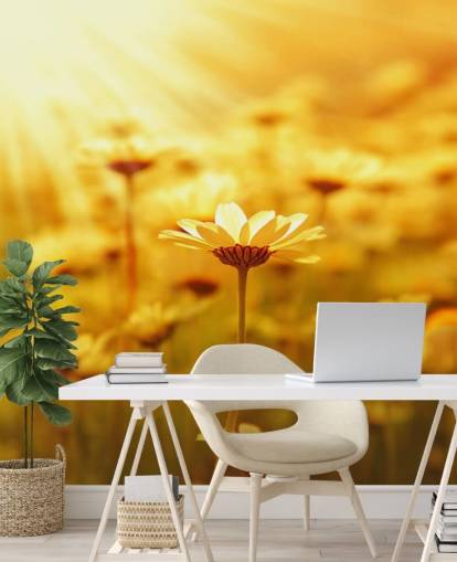 Golden Daisy Baggrund