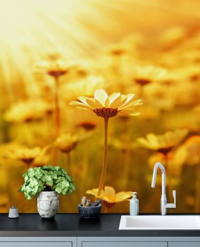 Gouden Daisy behang