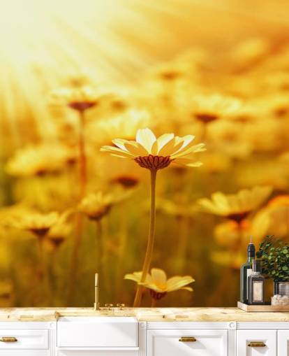 Papier peint Golden Daisy