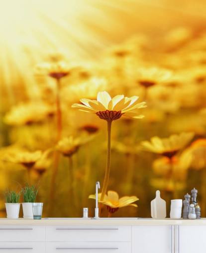 Golden Daisy Baggrund Golden Daisy Baggrund