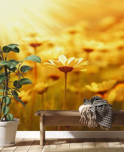 Papel de parede Golden D