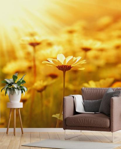 Gouden Daisy behang
