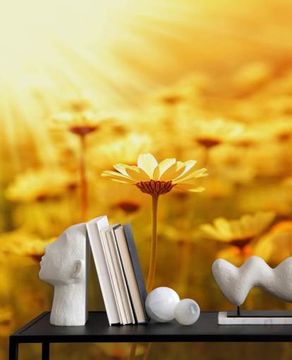 Papier peint Golden Daisy