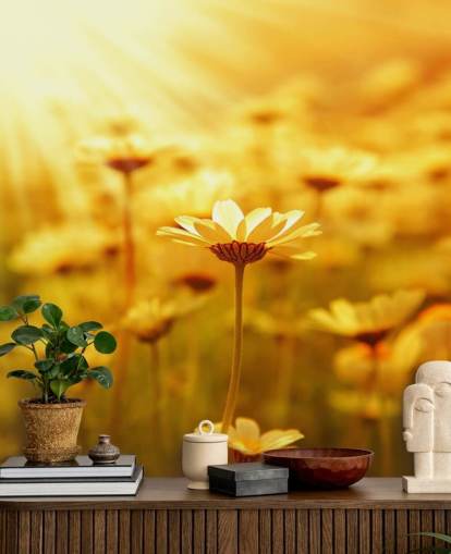 Golden Daisy Bakgrund