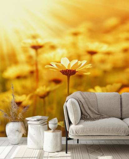 Golden Daisy Baggrund Golden Daisy Baggrund