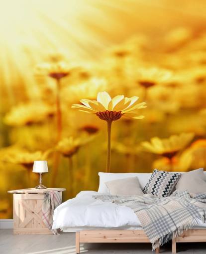 Golden Daisy Tapete