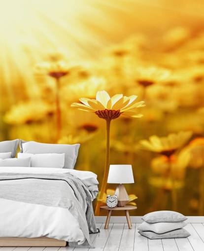 Golden Daisy Wallpaper