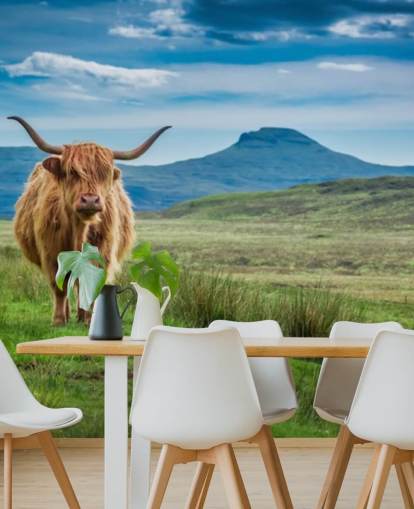 brown, blue and green customizable cow wallpaper mural called Grazing Highland Cow brown, blue and green customizable cow wallpaper mural called Grazing Highland Cow