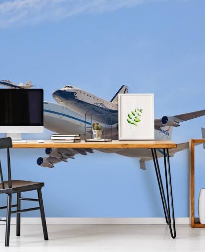 Flying in History - Space Shuttle Wall Mural