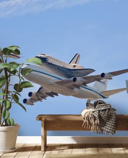 Flying in History - Space Shuttle Wall Mural