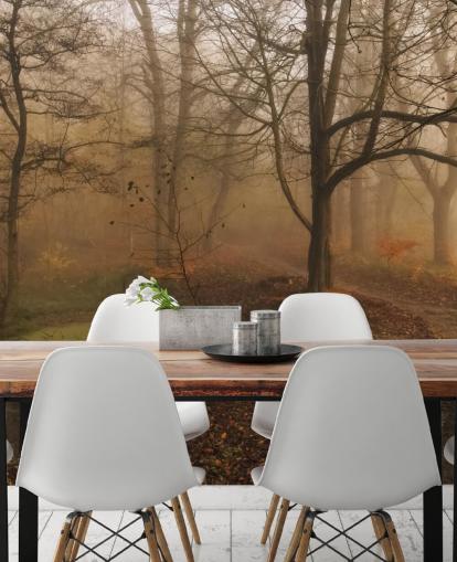 Misty Trees and Path Wallpaper Misty Trees and Path Wallpaper