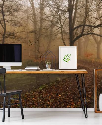 Papier Peint Arbres et Chemin Brumeux