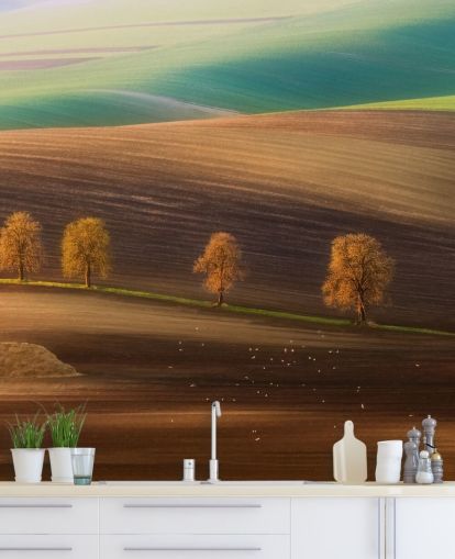 Árvores de outono no mural de parede de campo