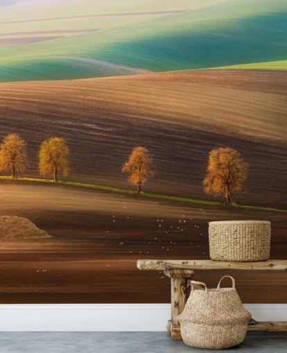 Bäume im Herbst im Feld Fototapete