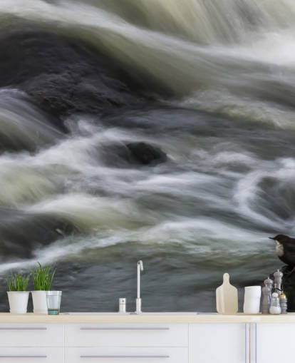 Rivier- en vogelbehang