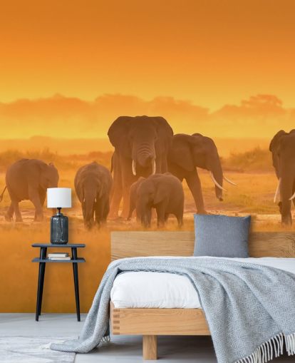 Elefant besætning i solnedgang vægmaleri 