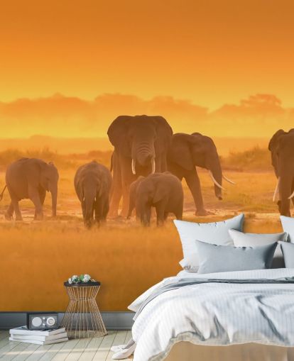 Elephant Herd in Sunset Wall Mural 