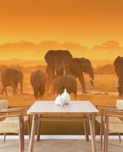 Elephant Herd in Sunset Wall Mural 