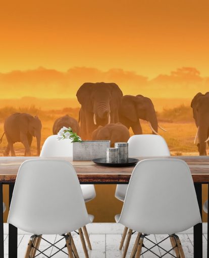 Elefant besætning i solnedgang vægmaleri Elefant besætning i solnedgang vægmaleri