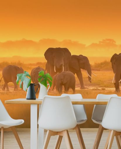 Elephant lauma auringonlaskun seinämaalaus 