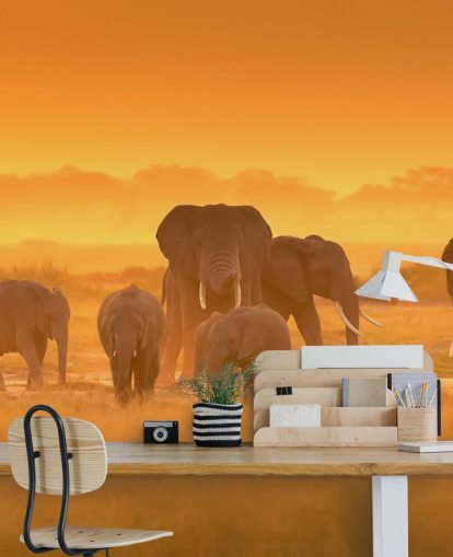 Elephant Herd in Sunset Wall Mural Elephant Herd in Sunset Wall Mural