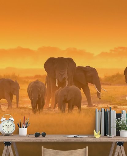 Mural de pared Manada de elefantes al atardecer Mural de pared Manada de elefantes al atardecer