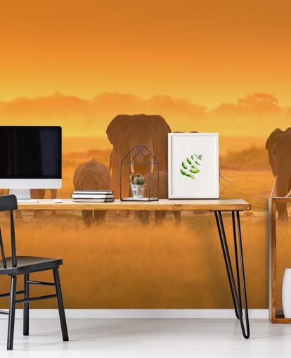 Elephant Herd in Sunset Wall Mural 
