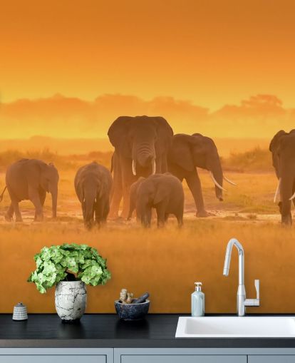 Elephant Herd in Sunset Wall Mural Elephant Herd in Sunset Wall Mural