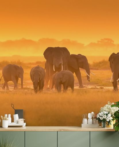 Elephant lauma auringonlaskun seinämaalaus 