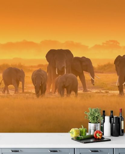 Elephant lauma auringonlaskun seinämaalaus 