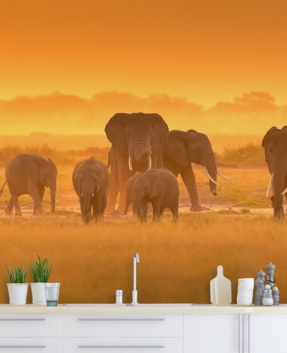 Décoration murale troupeau d'éléphants au coucher du soleil 