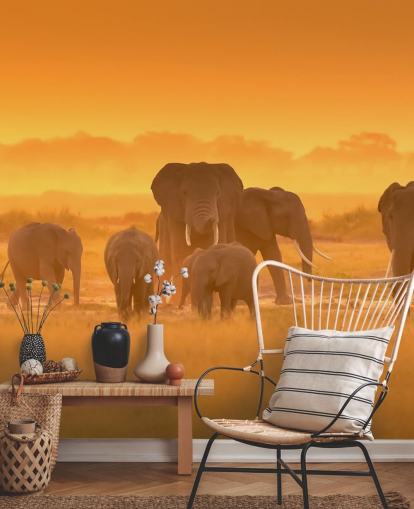 Elephant Herd in Sunset Wall Mural 