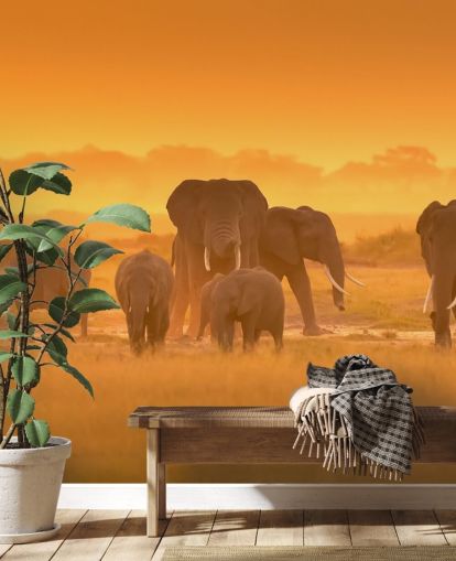 Elephant Herd in Sunset Wall Mural 