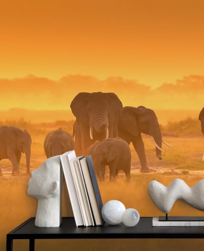 Elephant Herd in Sunset Wall Mural 
