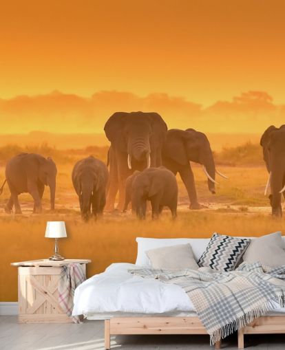 Elephant lauma auringonlaskun seinämaalaus Elephant lauma auringonlaskun seinämaalaus