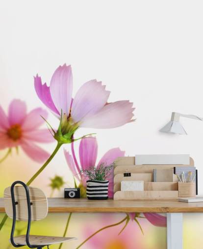 Papier Peint Fresque Fleurs des Champs