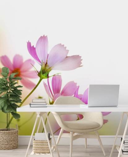 Pink Field Flowers Wall Mural