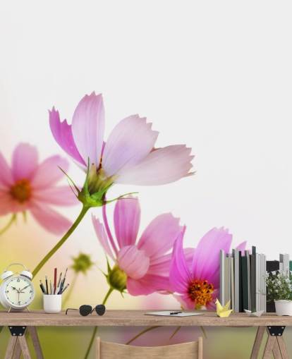 Pink Field Flowers Wall Mural