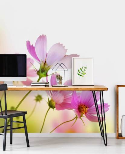 Rosa Feldblumen Fototapete