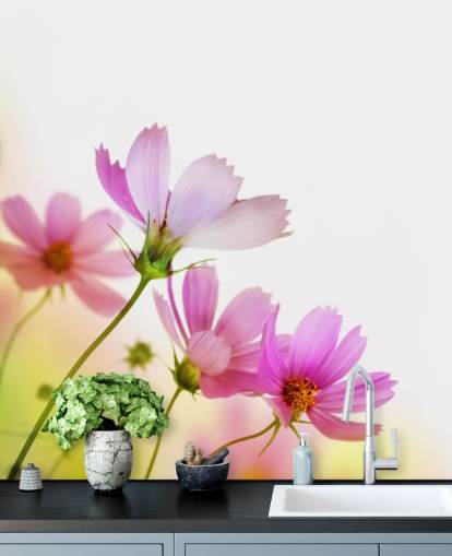 Rosa Feldblumen Fototapete