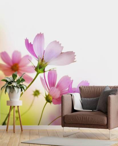 Papier Peint Fresque Fleurs des Champs Papier Peint Fresque Fleurs des Champs