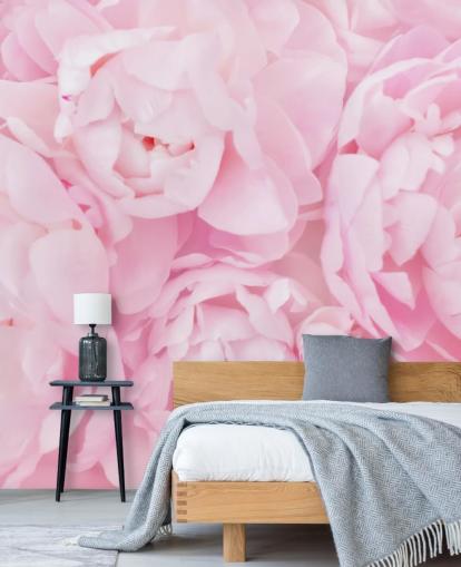 pink peonies close up wallpaper