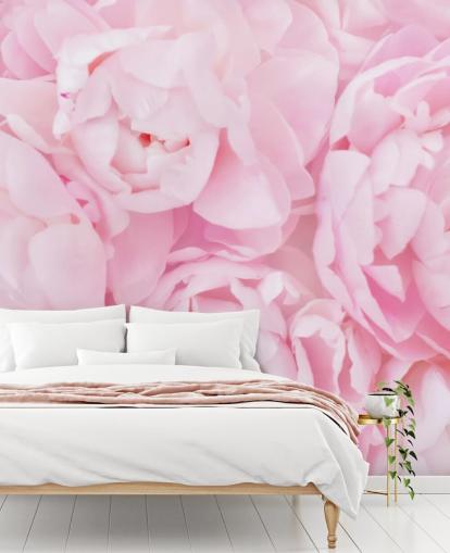 fondo de pantalla de peonías rosadas fondo de pantalla de peonías rosadas