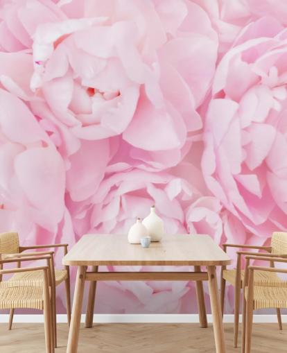 pivoines roses gros plan papier peint