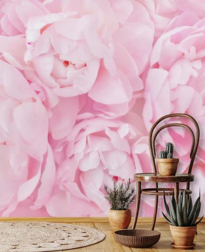 rosa peonies närbild tapeter