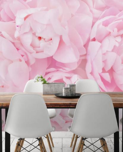 fondo de pantalla de peonías rosadas